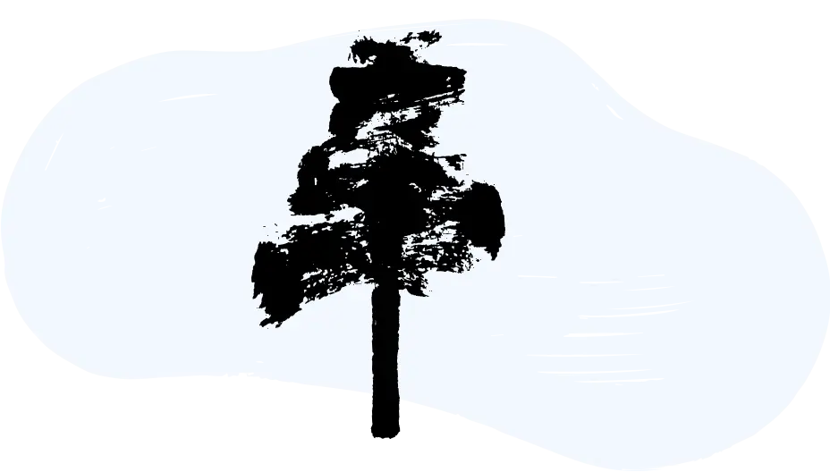 illustration Hochschulrecht